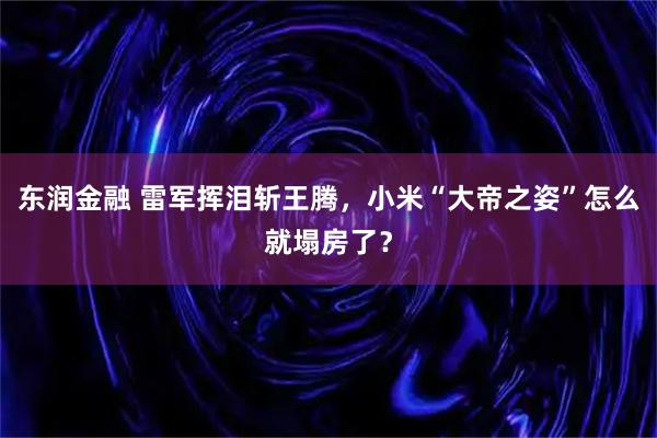 东润金融 雷军挥泪斩王腾，小米“大帝之姿”怎么就塌房了？